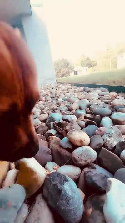 Here is my first post. I hope you like it.