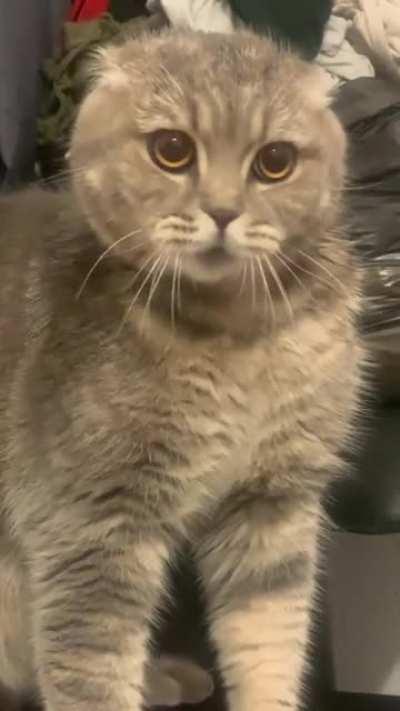 Видимо что-то случилось...