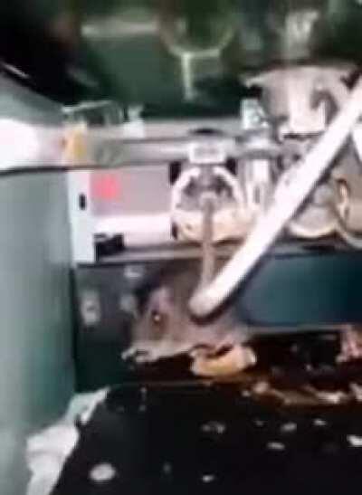 I can’t find the song