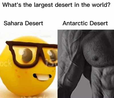 Average Antarctic Desert Enjoyer