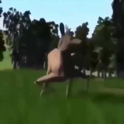 This is a certified banjar classic