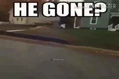 MELEE BAD AND GREENPILLED