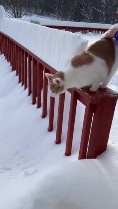 Kinda cold under here