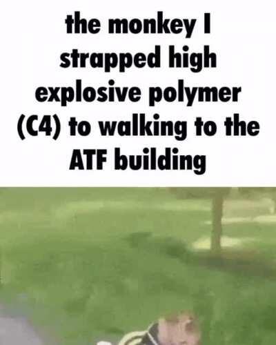 Atf