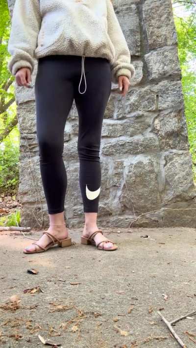 Giant Islander cockroaches