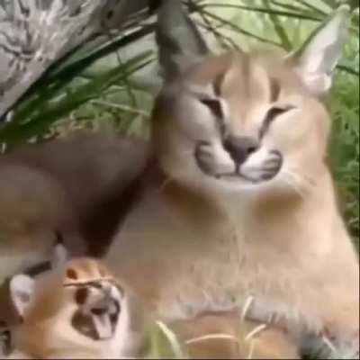 Posting random things from my camera day 1