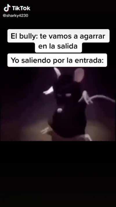 Perdí mi otra cuenta ctm