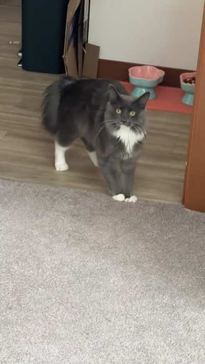 She likes to stalk me