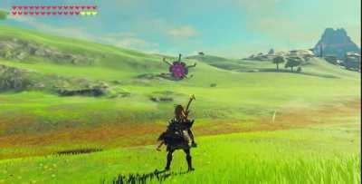 Weird physics in Breath of the wild