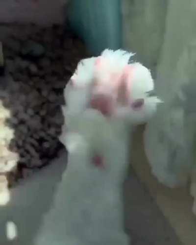 Пора просыпаться!