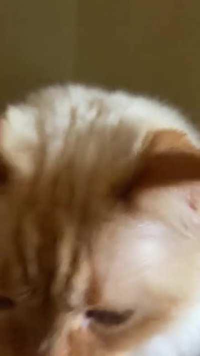 Her favorite hollerin’ corner