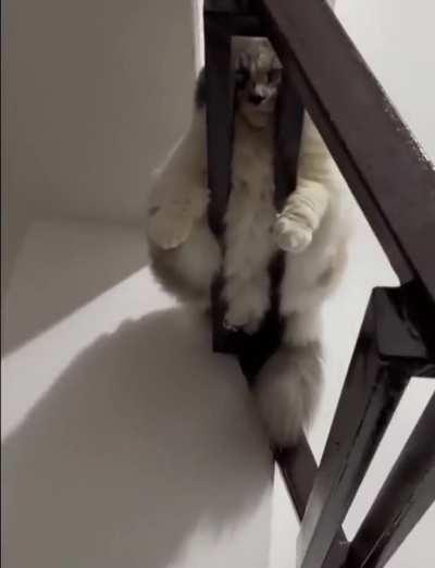 Are you comfortable mate ?