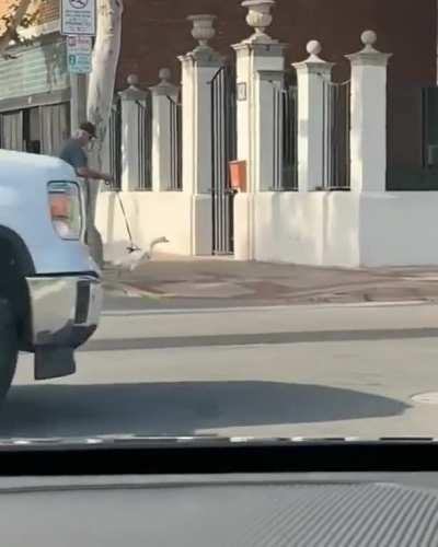 Воу, такого я ещё не видел