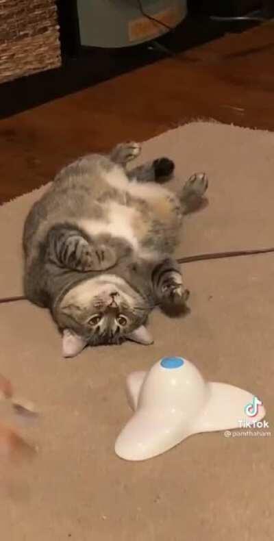 El streamer favorito de Wilson