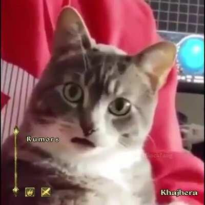 Speak while the sands are warm