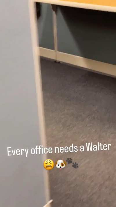 Walter,o melhor funcionário 