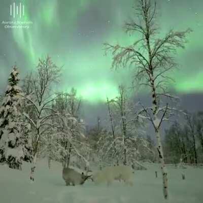 Norway...the beautiful...