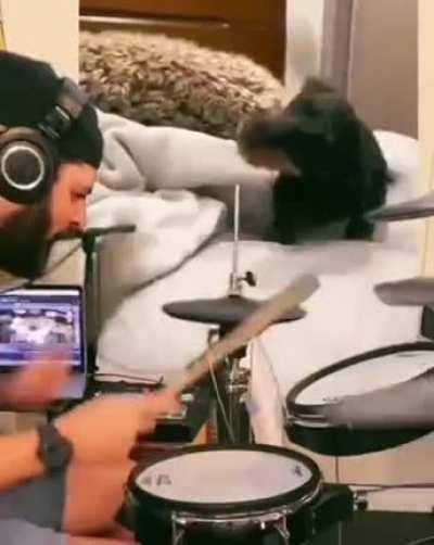 Смотрите чё могёт!