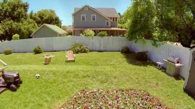 Chaos in the garden.