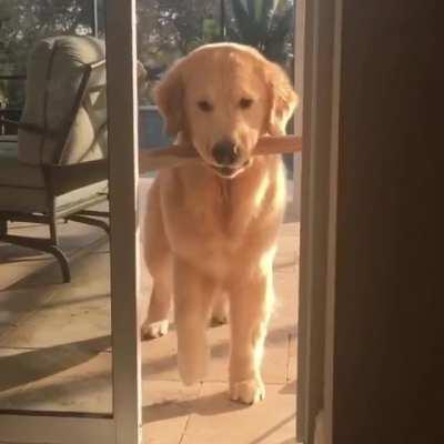 'Lemme take this stick ins... hmm... ooh well'