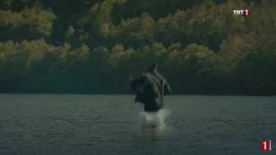 My Favourite Meme I’ve Made So Far and My First Edit for this Sub (Spoilers for DE S5) 😂😂😂