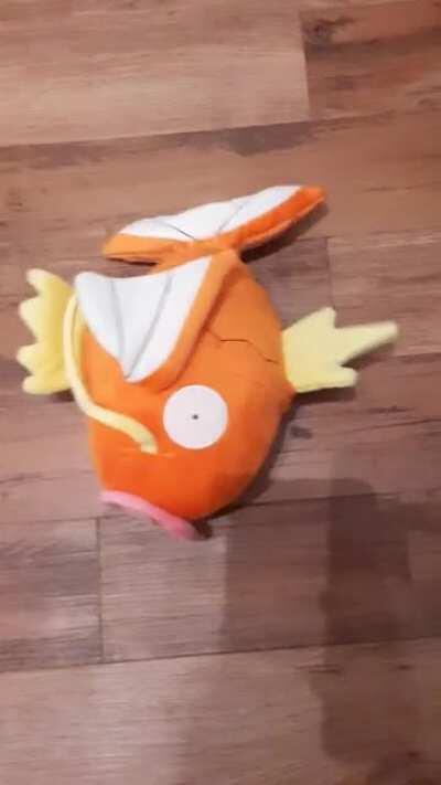 So huh.. i bought this little Karp the other day and i'm not disappointed