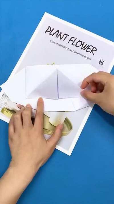 Creative paper plane