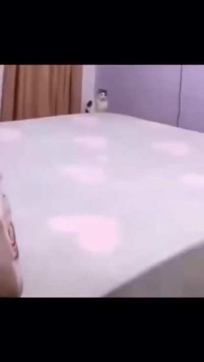 Ele esperou pacientemente 