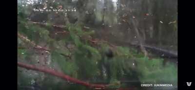 Mother Nature punishes car