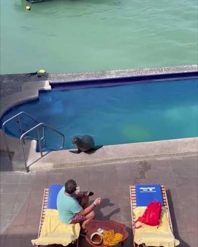 Just gonna chill here a bit