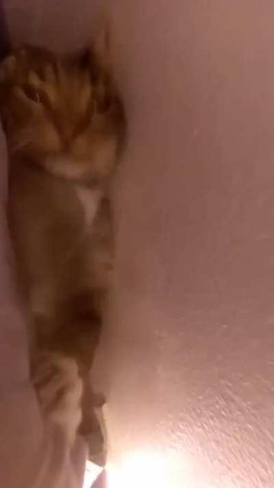 There's a monster under my bed!