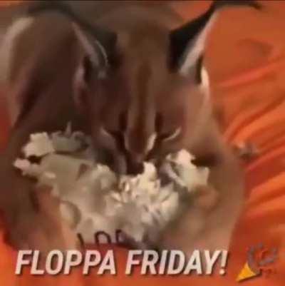 Floppa