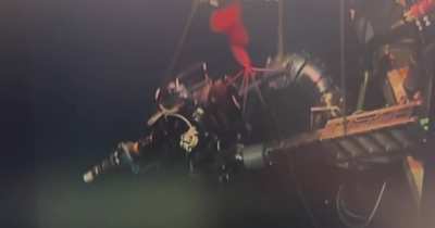 I just captured footage of a Juvenile Big Fin Squid. Less than a few dozen recorded sightings, this might be the first juvenile one!