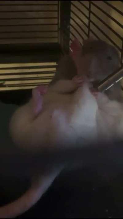 i was so happy i caught this on camera 😭🙏