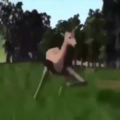 Deer Dance