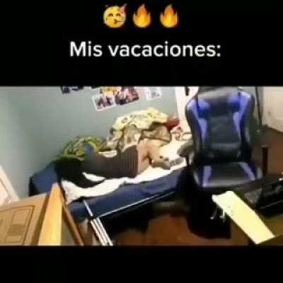 Mis vacaciones de verano xd
