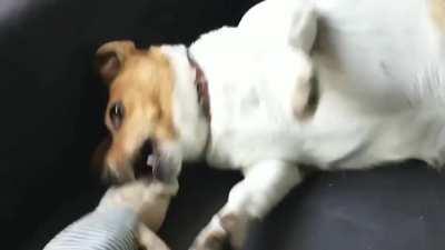 She stopped playing to say hello