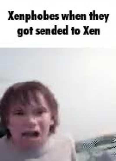 half litefs 1 endinge