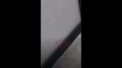 Mississippi Woman Holds a Walmart Employee at Gunpoint