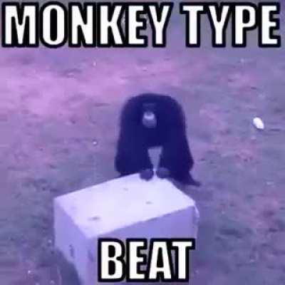 monkey on da' beat ☠️🦍🔥
