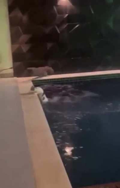 You won’t catch me