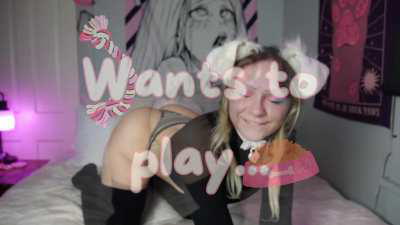 Puppy needs a new owner 