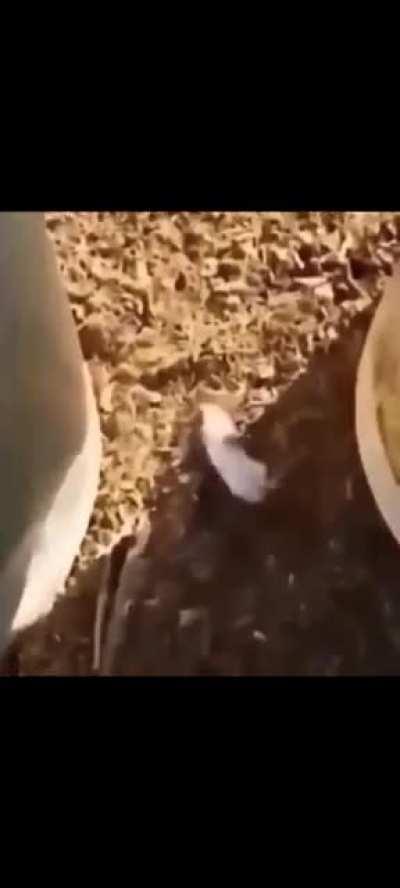 Helikopter helikopter