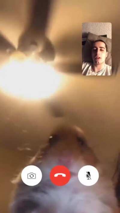 maricon maricon maricon maricon maricon maricon maricon