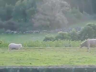 Nature can be violent.