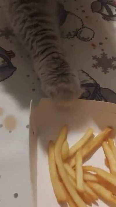 Surrender your fries