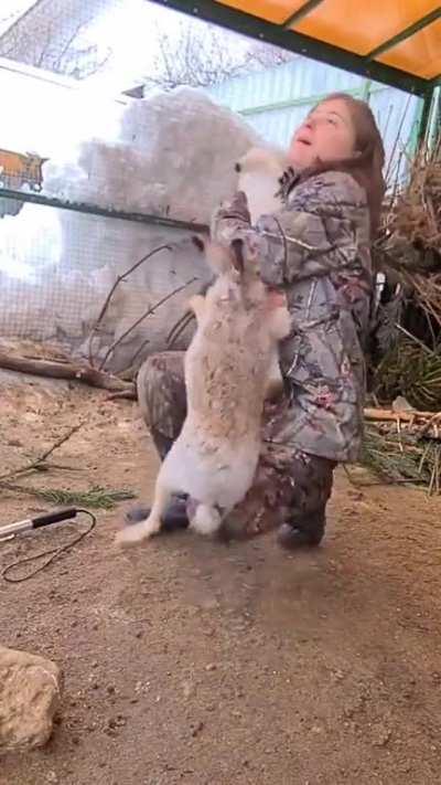 small defensive assistant, attack damge 0.3%/attack speed 160%