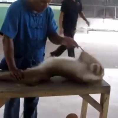 mucalol na academia do condominio