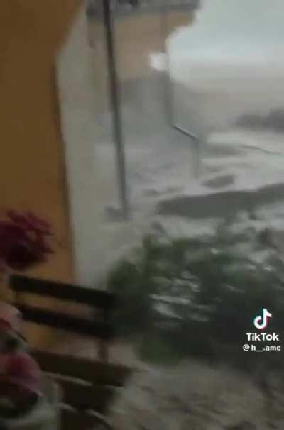 That desperate “no”