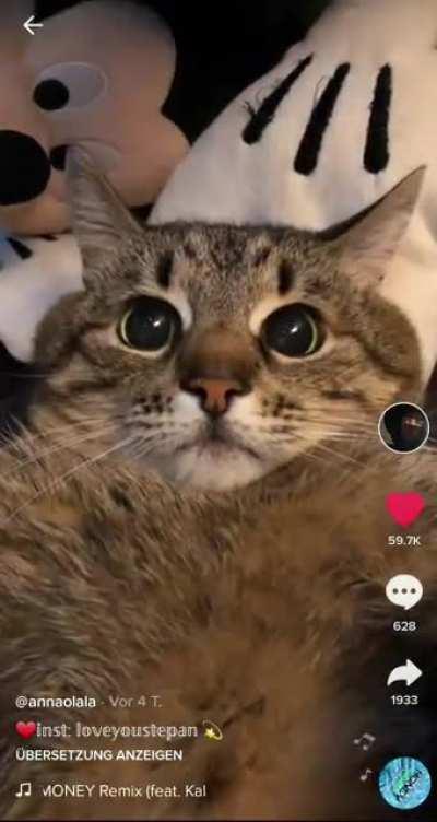 Please please PLEASE give him a belly rub already!!